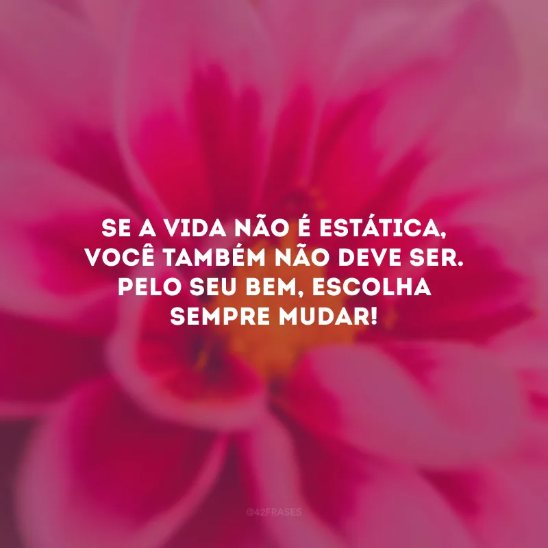 Se a vida não é estática, você também não deve ser. Pelo seu bem, escolha sempre mudar! 
