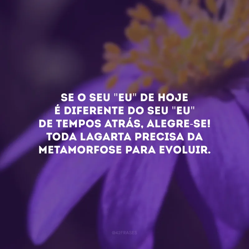 Se o seu \"eu\" de hoje é diferente do seu \"eu\" de tempos atrás, alegre-se! Toda lagarta precisa da metamorfose para evoluir. 