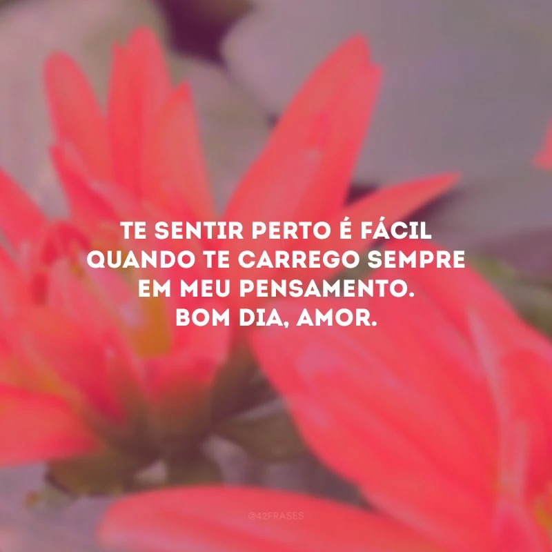 Te sentir perto é fácil quando te carrego sempre em meu pensamento. Bom dia, amor.