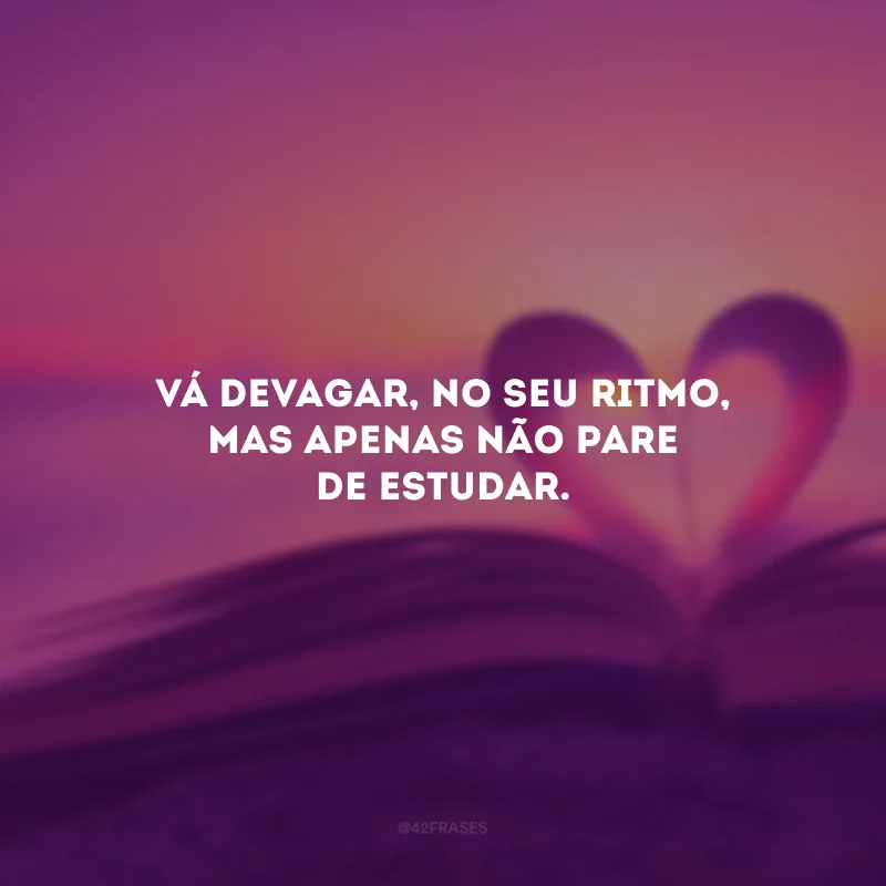 Vá devagar, no seu ritmo, mas apenas não pare de estudar.