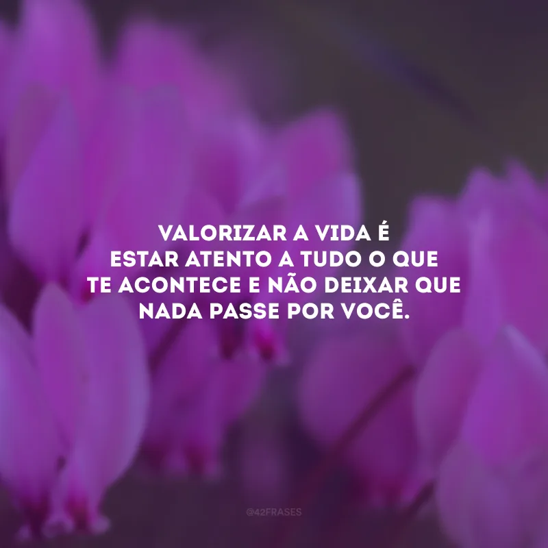 Valorizar a vida é estar atento a tudo o que te acontece e não deixar que nada passe por você.