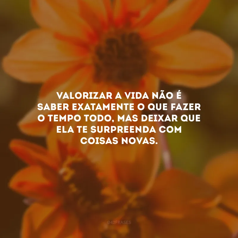 Valorizar a vida não é saber exatamente o que fazer o tempo todo, mas deixar que ela te surpreenda com coisas novas.