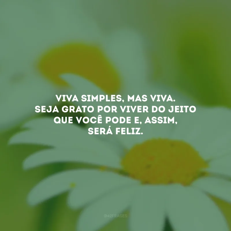 Viva simples, mas viva. Seja grato por viver do jeito que você pode e, assim, será feliz.