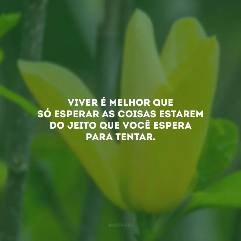 Viver é melhor que só esperar as coisas estarem do jeito que você espera para tentar.