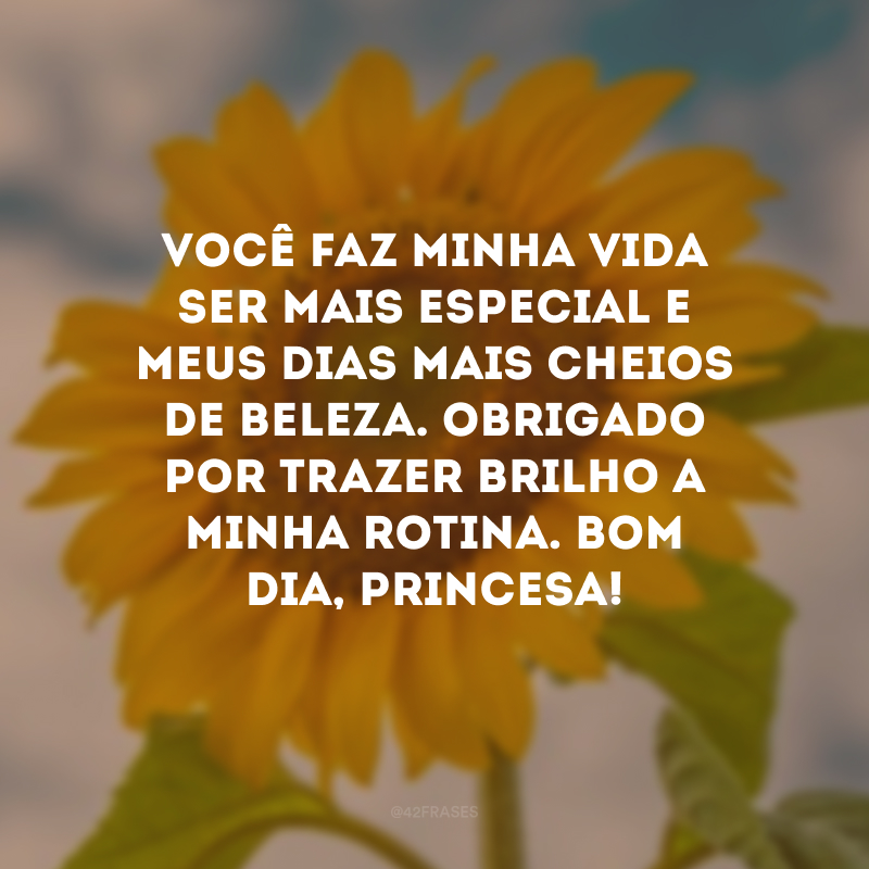 Você faz minha vida ser mais especial e meus dias mais cheios de beleza. Obrigado por trazer brilho a minha rotina. Bom dia, princesa!