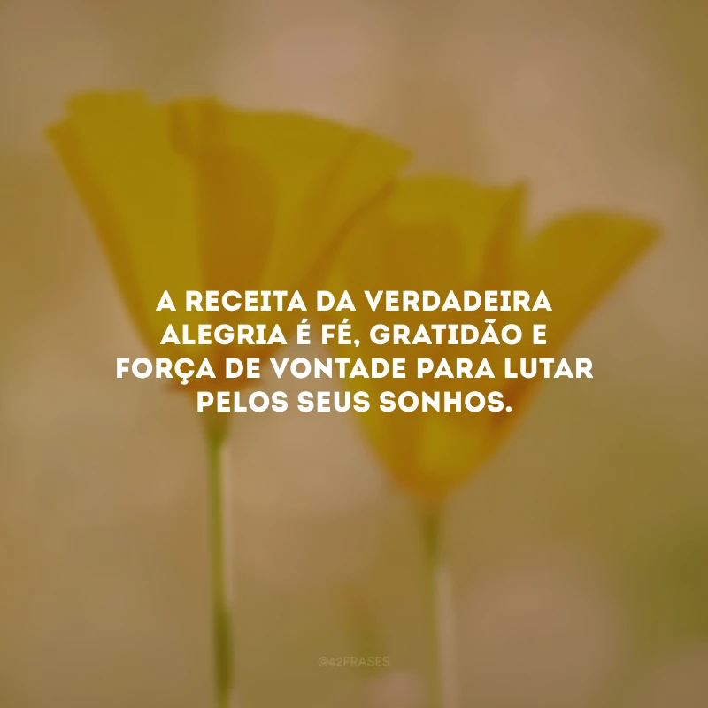 A receita da verdadeira alegria é fé, gratidão e força de vontade para lutar pelos seus sonhos.