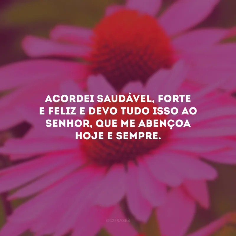 Acordei saudável, forte e feliz e devo tudo isso ao Senhor, que me abençoa hoje e sempre.