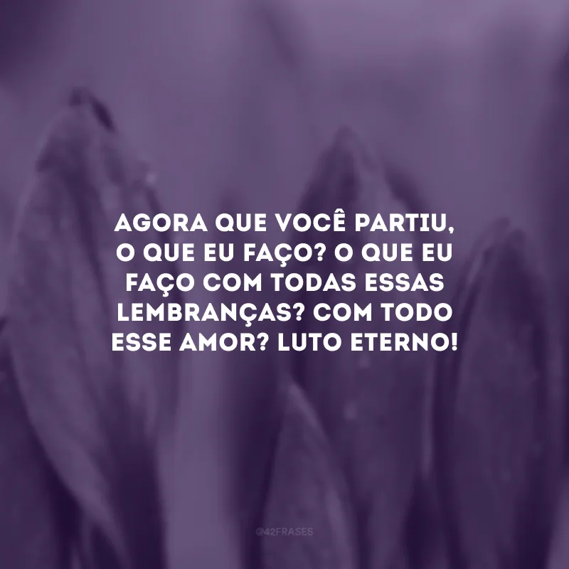 Agora que você partiu, o que eu faço? O que eu faço com todas essas lembranças? Com todo esse amor? Luto eterno! 