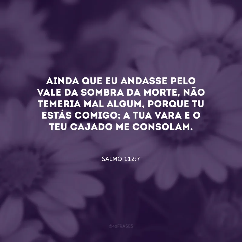 Ainda que eu andasse pelo vale da sombra da morte, não temeria mal algum, porque tu estás comigo; a tua vara e o teu cajado me consolam.