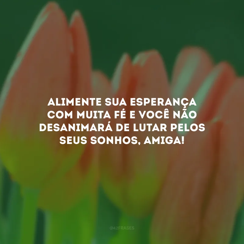 Alimente sua esperança com muita fé e você não desanimará de lutar pelos seus sonhos, amiga!
