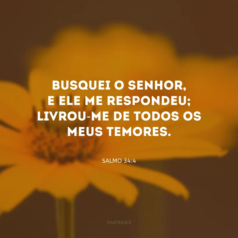 Busquei o Senhor, e Ele me respondeu; livrou-me de todos os meus temores.