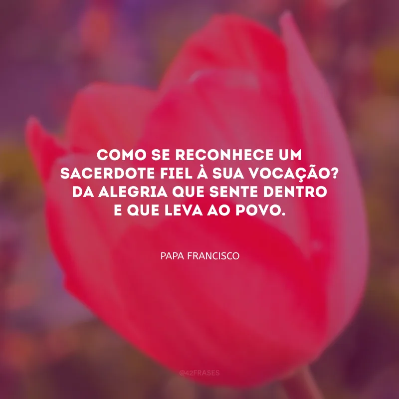 Como se reconhece um sacerdote fiel à sua vocação? Da alegria que sente dentro e que leva ao povo.