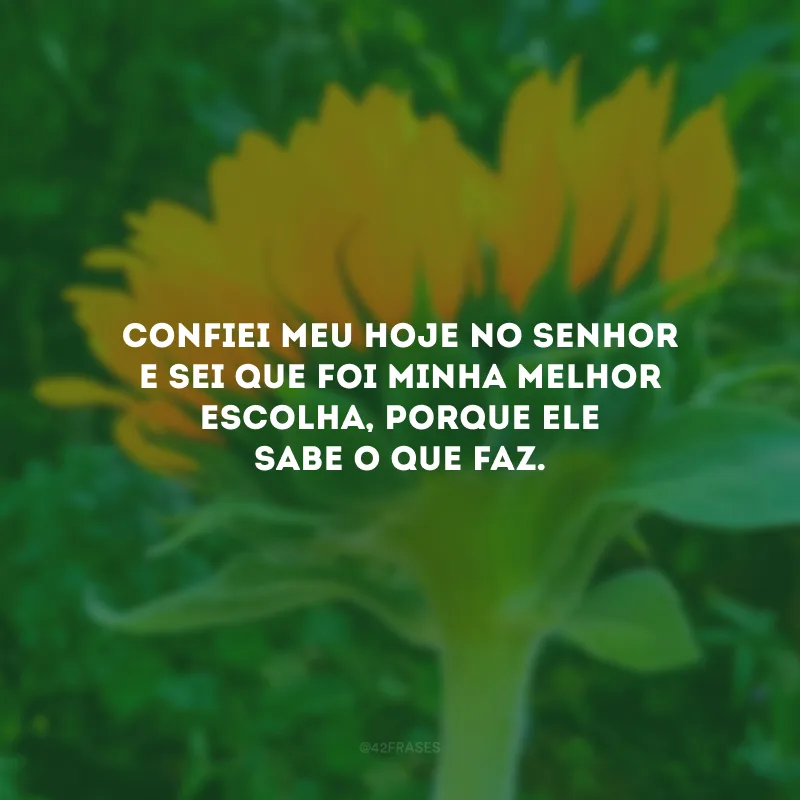 Confiei meu hoje no Senhor e sei que foi minha melhor escolha, porque Ele sabe o que faz.