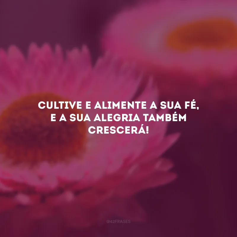 Cultive e alimente a sua fé, e a sua alegria também crescerá!