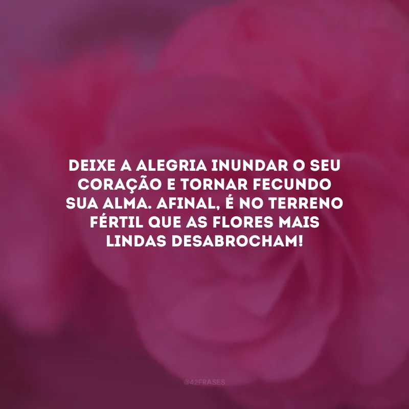 Deixe a alegria inundar o seu coração e tornar fecundo sua alma. Afinal, é no terreno fértil que as flores mais lindas desabrocham! 