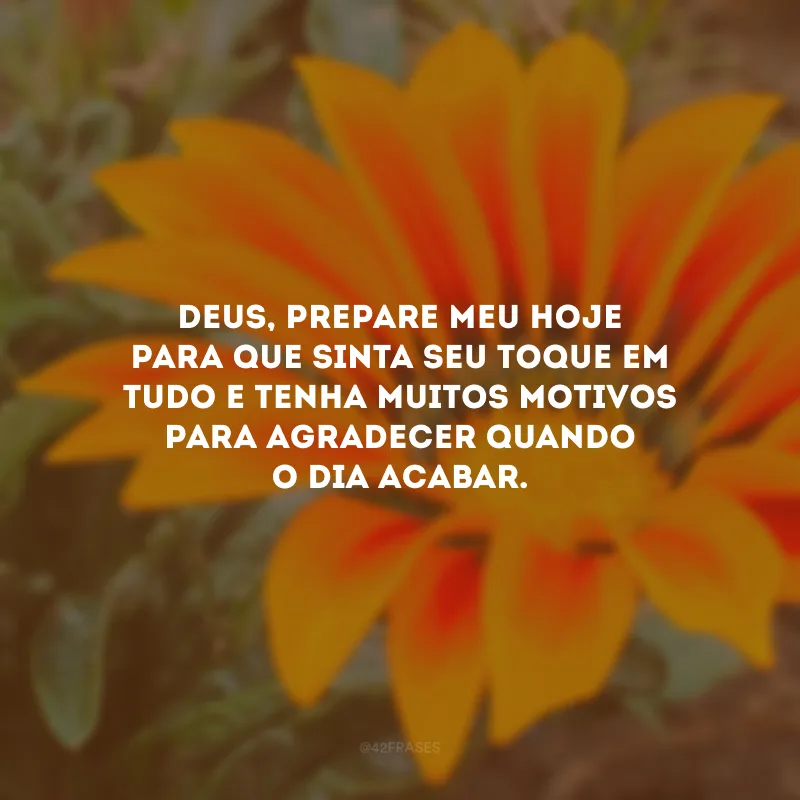 Deus, prepare meu hoje para que sinta seu toque em tudo e tenha muitos motivos para agradecer quando o dia acabar.