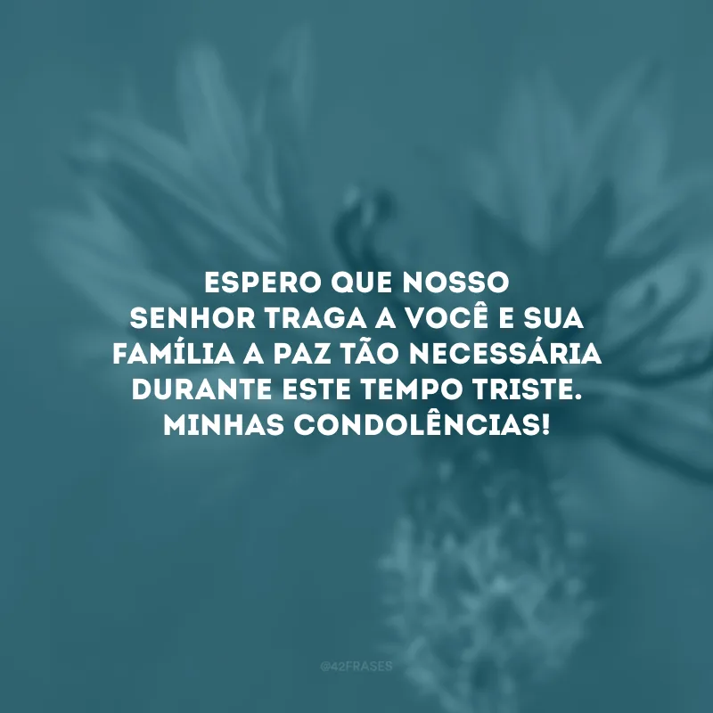 Espero que nosso Senhor traga a você e sua família a paz tão necessária durante este tempo triste. Minhas condolências!