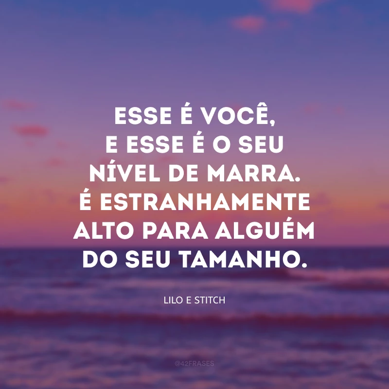 Esse é você, e esse é o seu nível de marra. É estranhamente alto para alguém do seu tamanho.