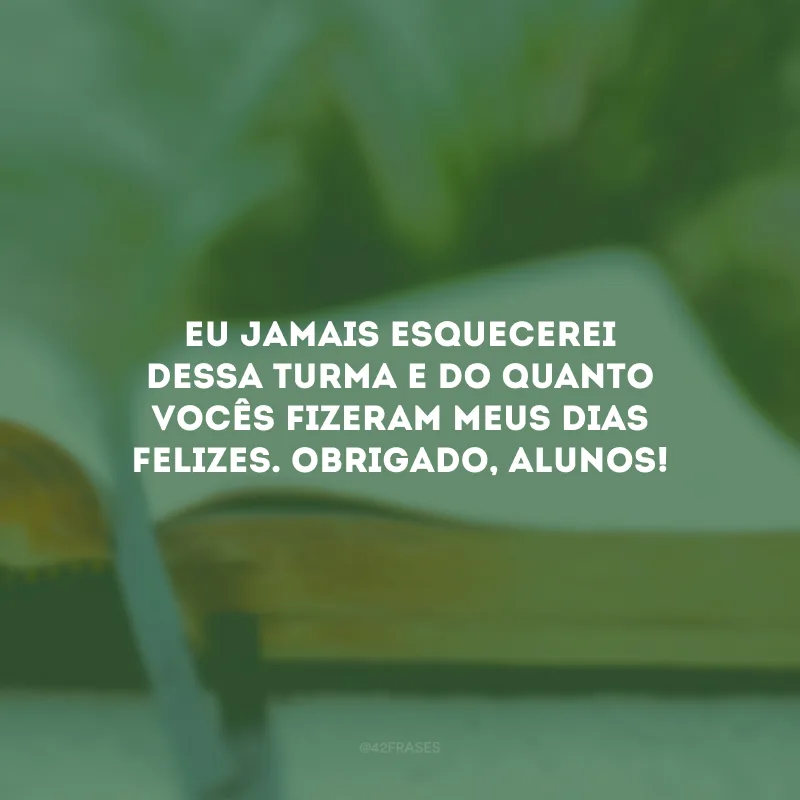 Eu jamais esquecerei dessa turma e do quanto vocês fizeram meus dias felizes. Obrigado, alunos!