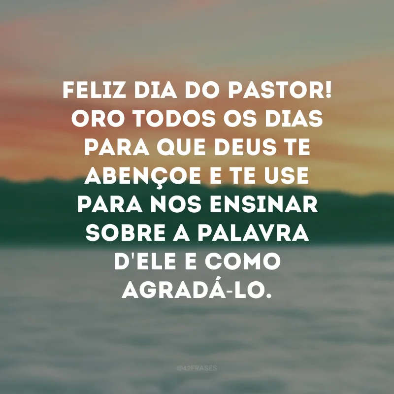 Feliz Dia do Pastor! Oro todos os dias para que Deus te abençoe e te use para nos ensinar sobre a palavra d\'Ele e como agradá-Lo.