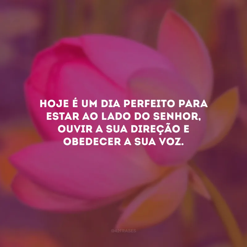 Hoje é um dia perfeito para estar ao lado do Senhor, ouvir a sua direção e obedecer a sua voz.