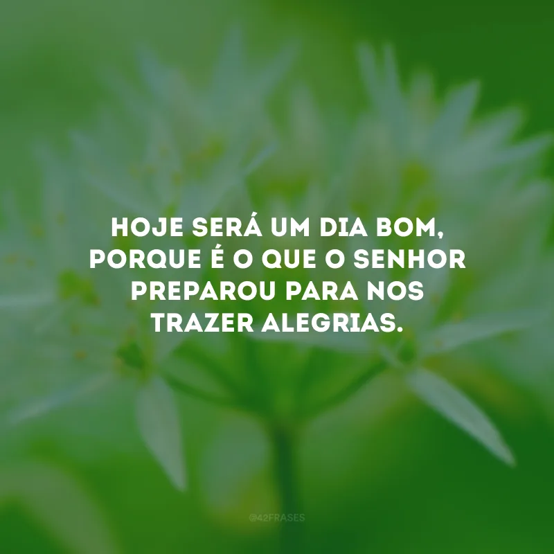 Hoje será um dia bom, porque é o que o Senhor preparou para nos trazer alegrias.