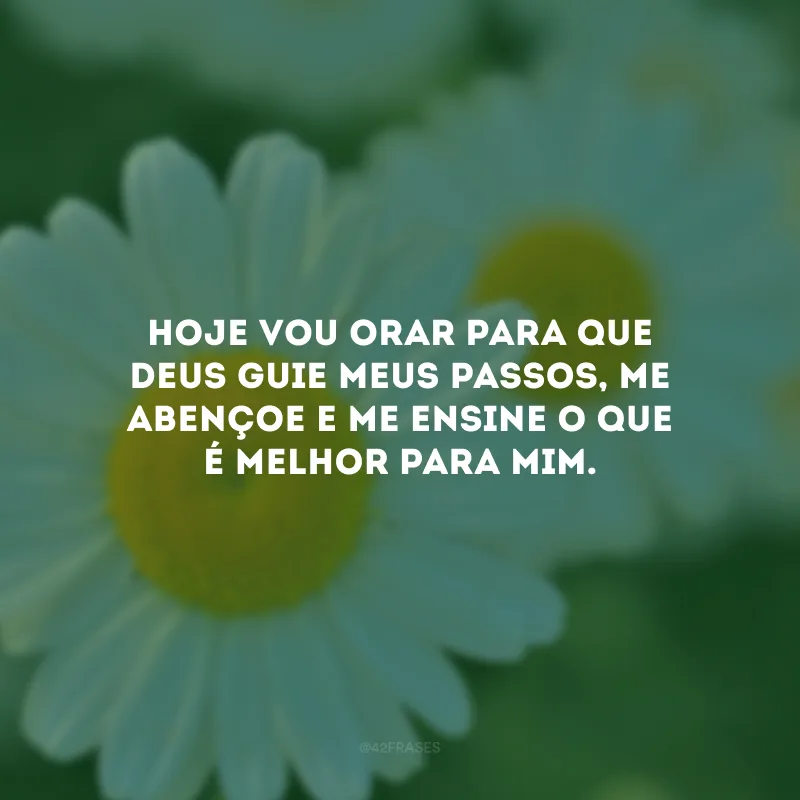 Hoje vou orar para que Deus guie meus passos, me abençoe e me ensine o que é melhor para mim.