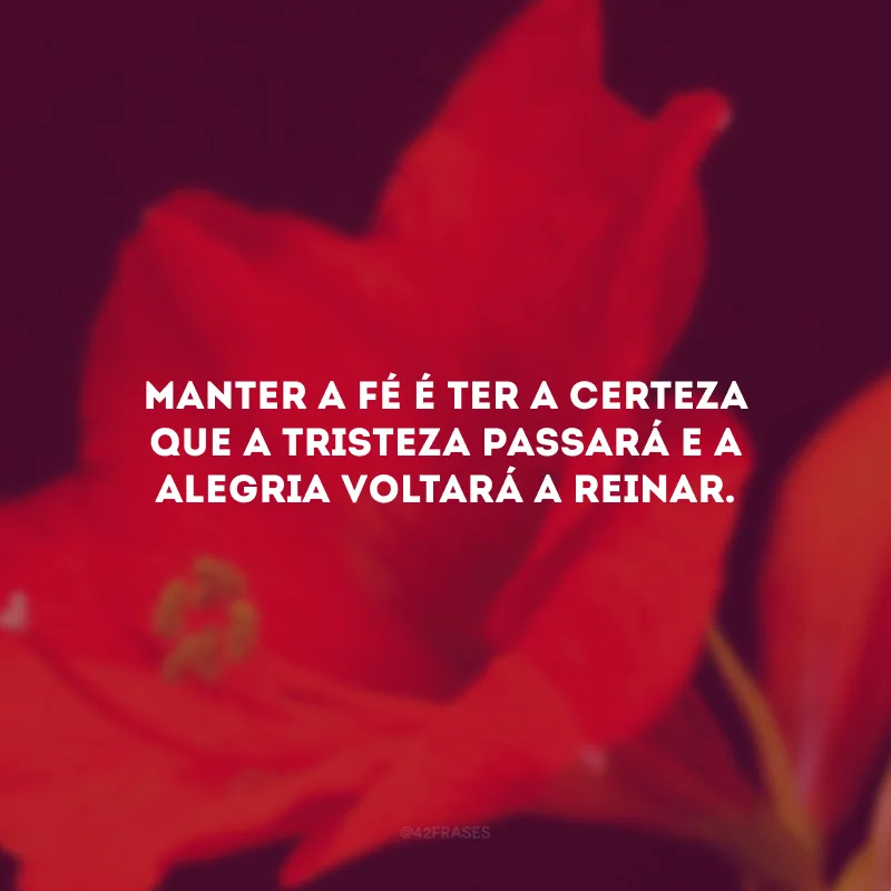 Manter a fé é ter a certeza que a tristeza passará e a alegria voltará a reinar.