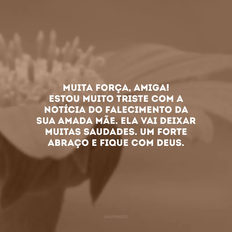 Muita força, amiga! Estou muito triste com a notícia do falecimento da sua amada mãe. Ela vai deixar muitas saudades. Um forte abraço e fique com Deus. 