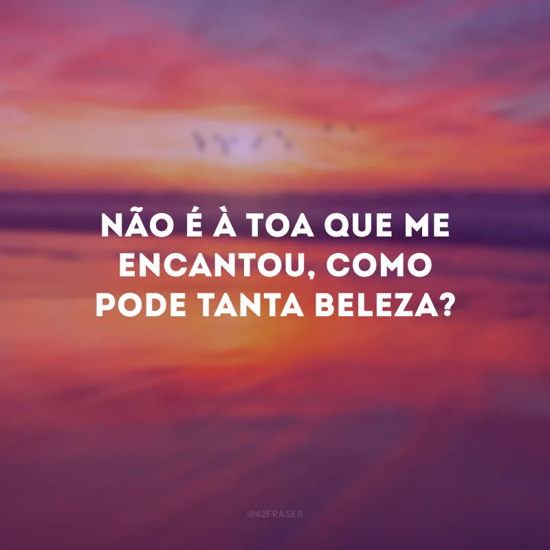 Não é à toa que me encantou, como pode tanta beleza?