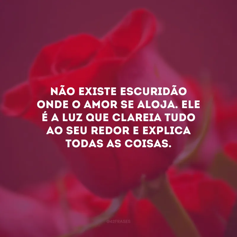 Não existe escuridão onde o amor se aloja. Ele é a luz que clareia tudo ao seu redor e explica todas as coisas.