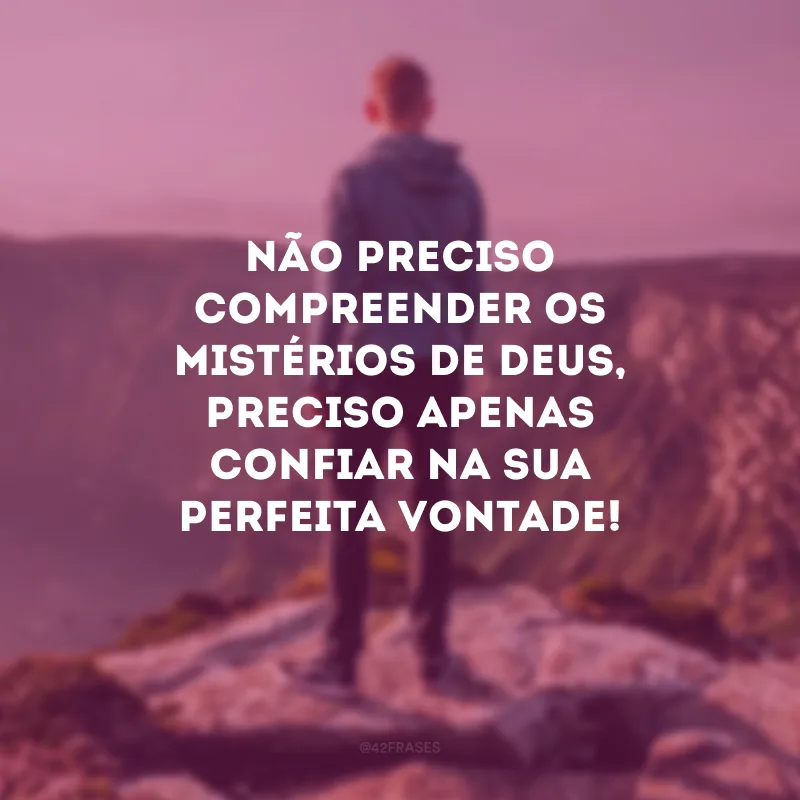 Não preciso compreender os mistérios de Deus, preciso apenas confiar na sua perfeita vontade! 