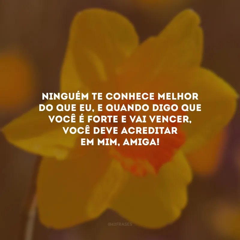 Ninguém te conhece melhor do que eu, e quando digo que você é forte e vai vencer, você deve acreditar em mim, amiga!