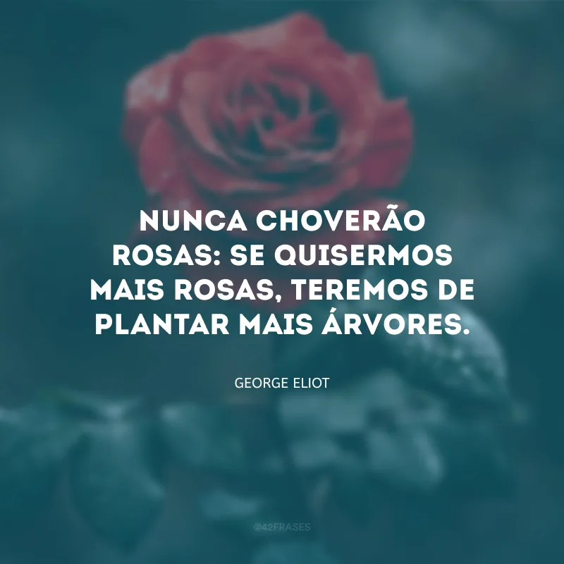 Nunca choverão rosas: se quisermos mais rosas, teremos de plantar mais árvores.