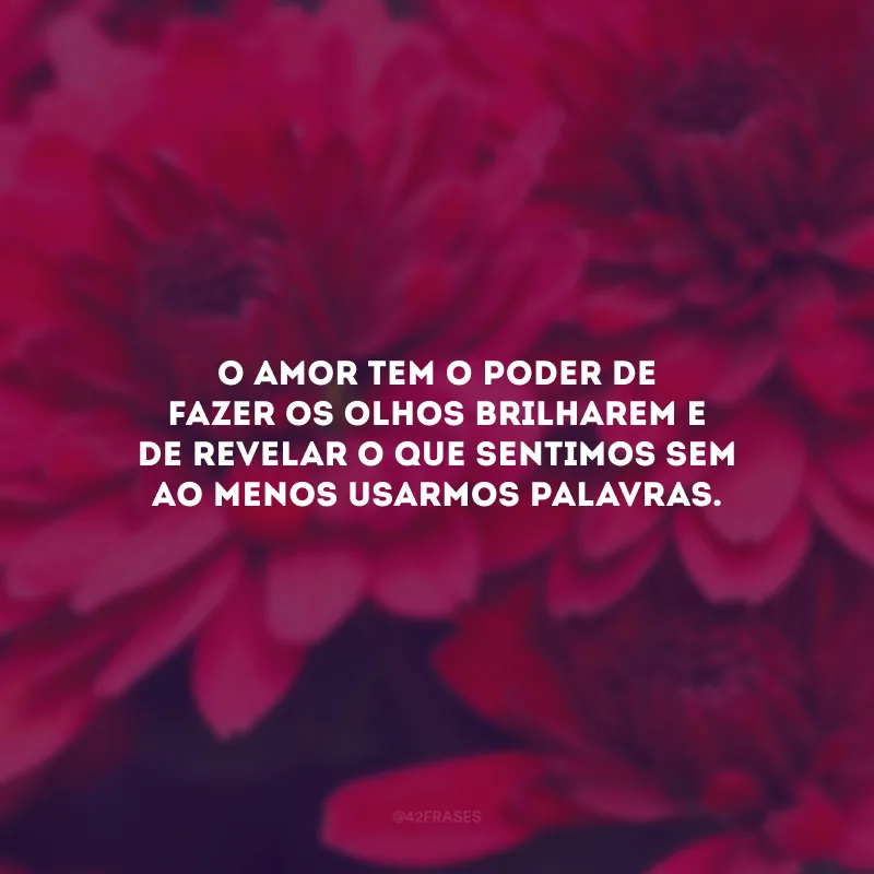 O amor tem o poder de fazer os olhos brilharem e de revelar o que sentimos sem ao menos usarmos palavras.