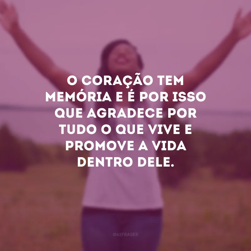 O coração tem memória e é por isso que agradece por tudo o que vive e promove a vida dentro dele.