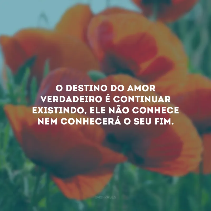 O destino do amor verdadeiro é continuar existindo, ele não conhece nem conhecerá o seu fim.