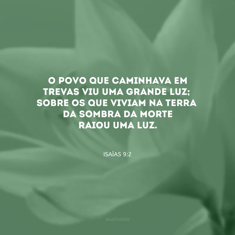 O povo que caminhava em trevas viu uma grande luz;
sobre os que viviam na terra
da sombra da morte raiou uma luz.
