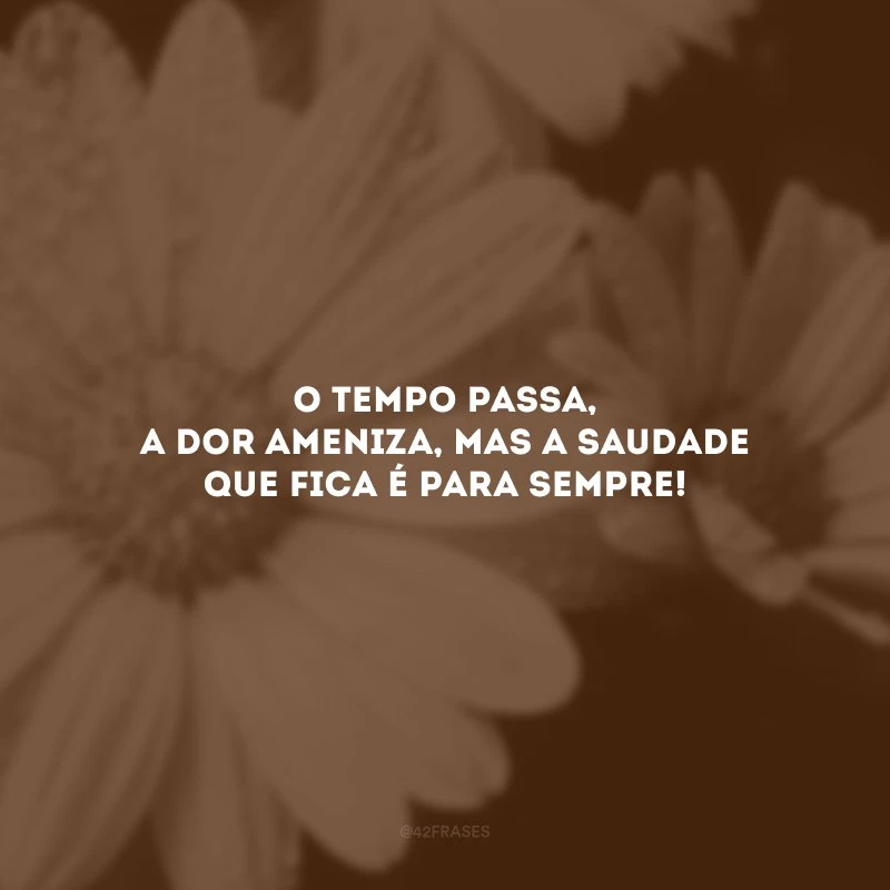 O tempo passa, a dor ameniza, mas a saudade que fica é para sempre! 