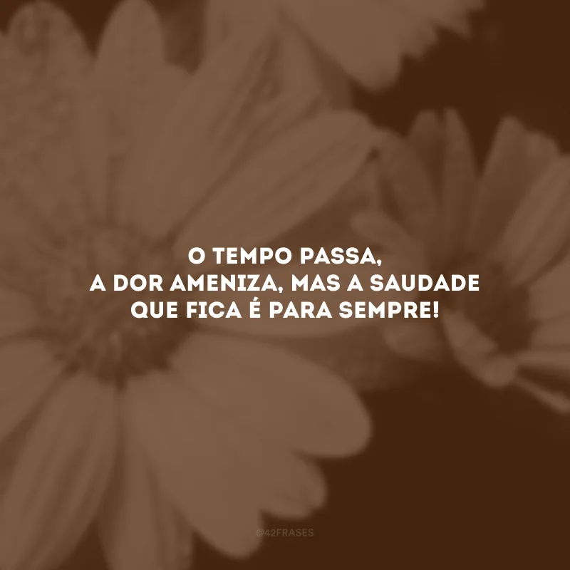 O tempo passa, a dor ameniza, mas a saudade que fica é para sempre! 
