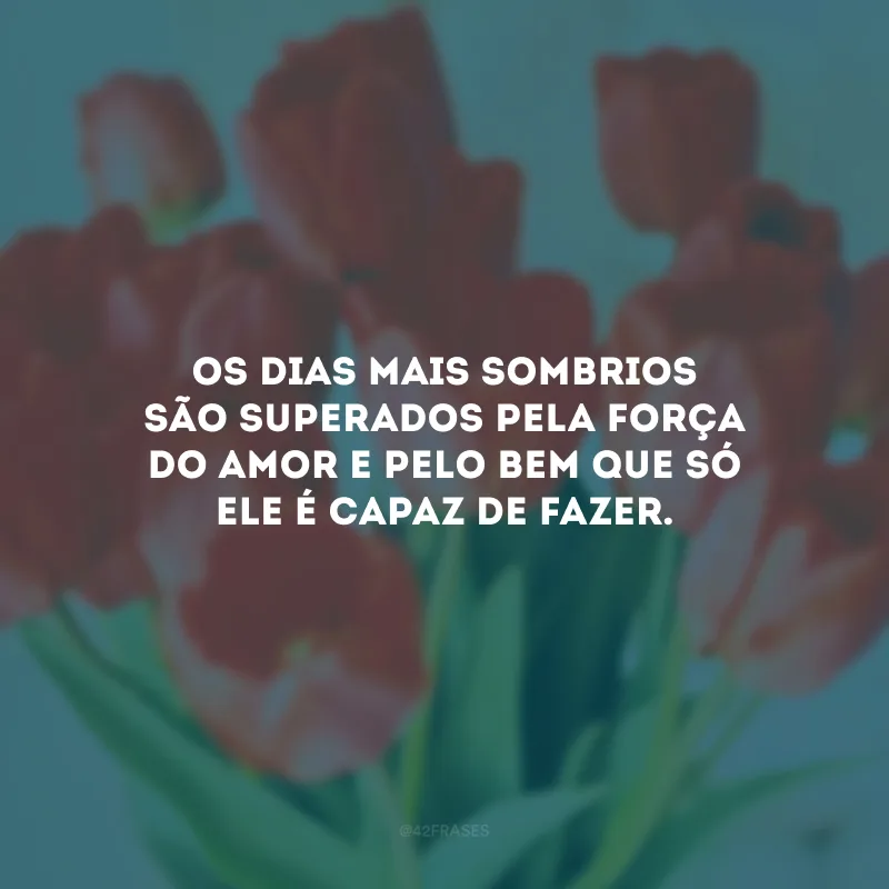 Os dias mais sombrios são superados pela força do amor e pelo bem que só ele é capaz de fazer.