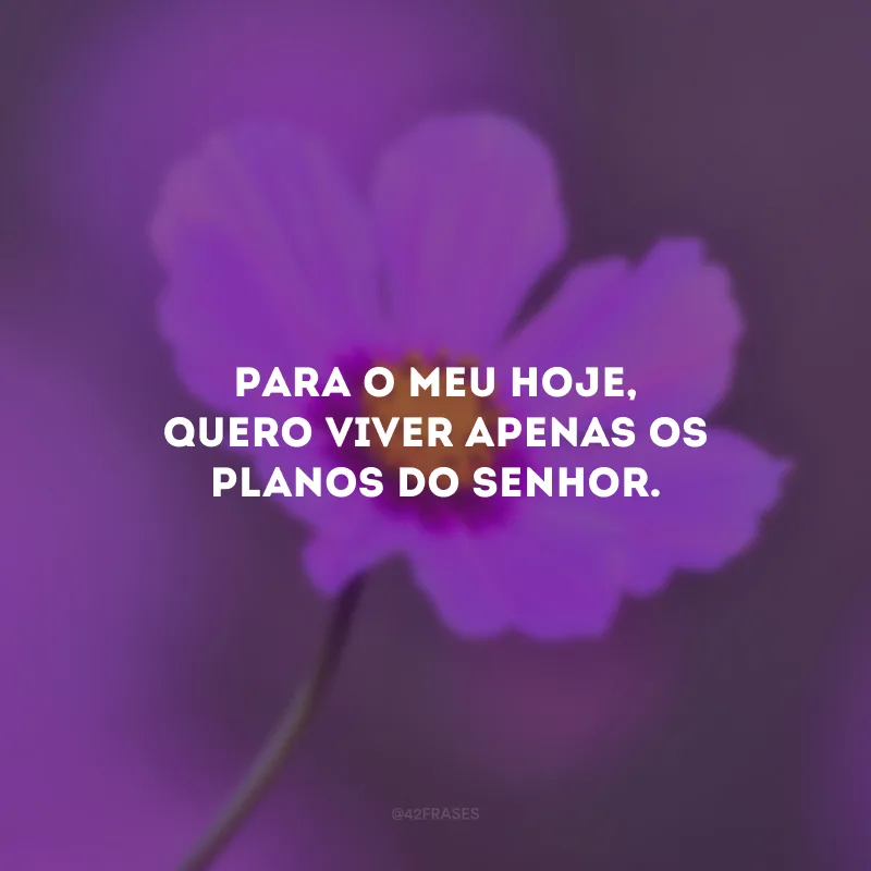 Para o meu hoje, quero viver apenas os planos do Senhor.