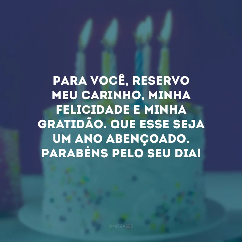 Para você, reservo meu carinho, minha felicidade e minha gratidão. Que esse seja um ano abençoado. Parabéns pelo seu dia!