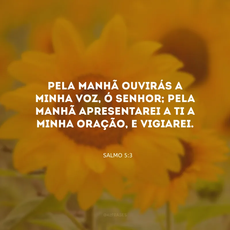 Pela manhã ouvirás a minha voz, ó Senhor; pela manhã apresentarei a Ti a minha oração, e vigiarei.