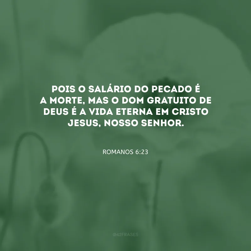 Pois o salário do pecado é a morte, mas o dom gratuito de Deus é a vida eterna em Cristo Jesus, nosso Senhor.
