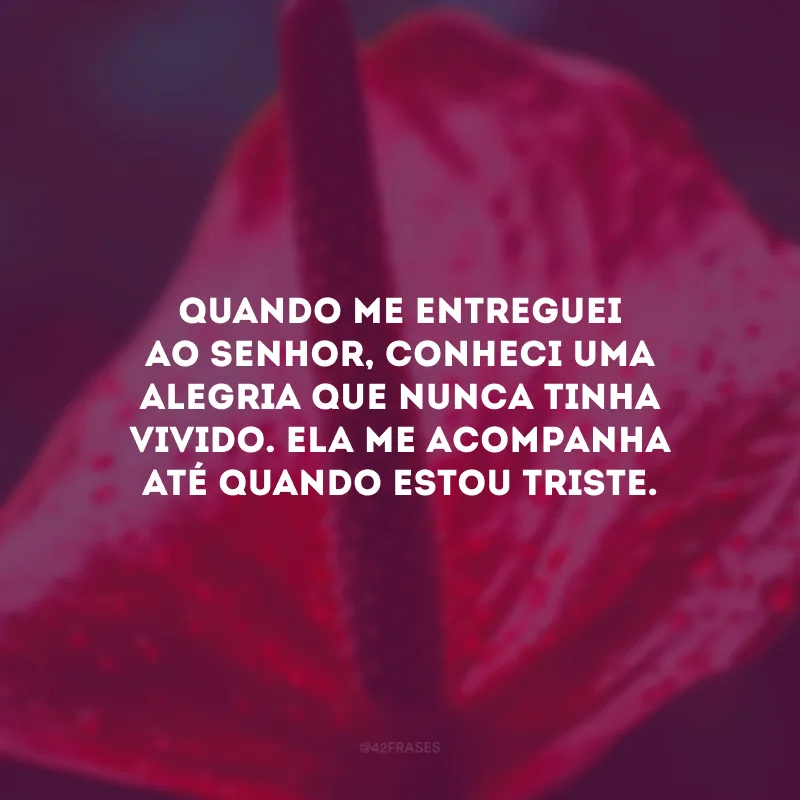Quando me entreguei ao Senhor, conheci uma alegria que nunca tinha vivido. Ela me acompanha até quando estou triste.