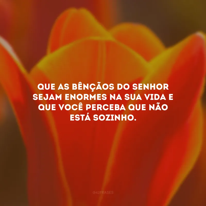 Que as bênçãos do Senhor sejam enormes na sua vida e que você perceba que não está sozinho.