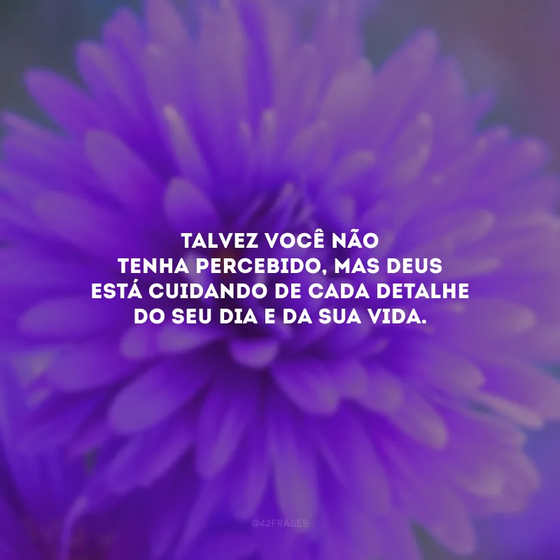 Talvez você não tenha percebido, mas Deus está cuidando de cada detalhe do seu dia e da sua vida.