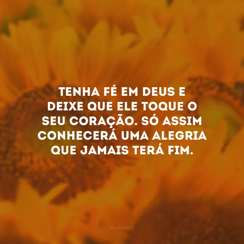 Tenha fé em Deus e deixe que Ele toque o seu coração. Só assim conhecerá uma alegria que jamais terá fim.