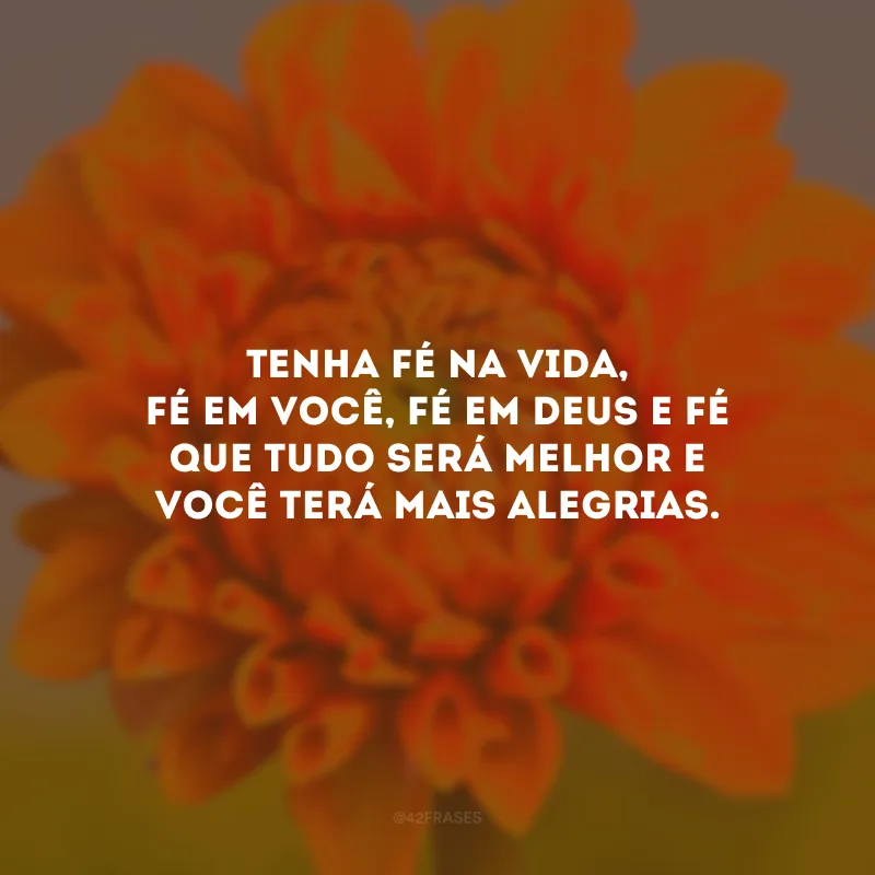 Tenha fé na vida, fé em você, fé em Deus e fé que tudo será melhor e você terá mais alegrias.